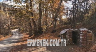 Ermenek'ten çaldığı elmalarla Mersin'de yakalandı