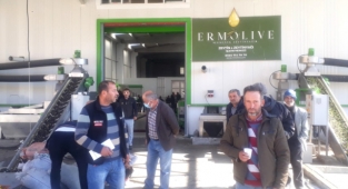Ermolıve zeytinyağı fabrikası kapasitesini artırdı