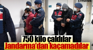 Hırsızlar jandarmadan kaçamadı