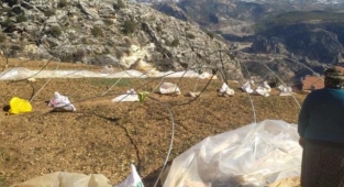 Fırtına seralara zarar verdi