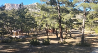 Orman Parkı Yeniden cazibe merkezine dönüştürülmeli