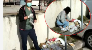 Yavru Köpeğin tedavisini yaptılar