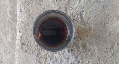 Kolanın içinden böcek çıktı