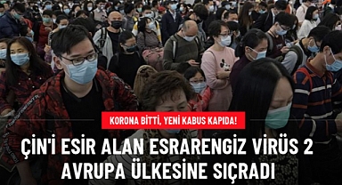 Çin'i esir alan yeni virüs Hollanda ve Danimarkaya sıçradı
