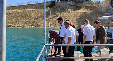  ERMENEK BARAJ GÖLÜNE 400 BİN SAZAN BALIĞI YAVRUSU BIRAKILDI.