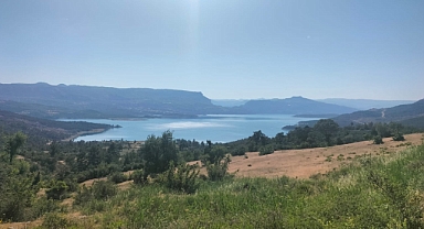 Satılık göl manzaralı ceviz bahçesi