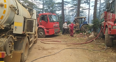 Yeşilköy'de çıkan orman yangını kontrol altına alınamadı