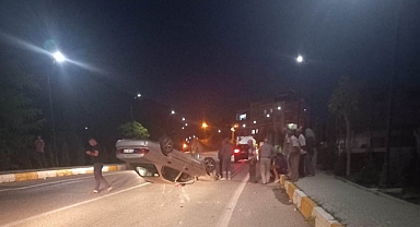 Köpek Yüzünden Kaza Yaptı