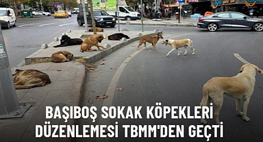 Sokak Köpekleri İle İlgili Kanun Teklifi Komisyondan Geçti