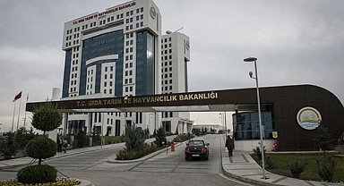 Karaman Orman İşletme Müdürlüğü Eleman Alımı Yapacak