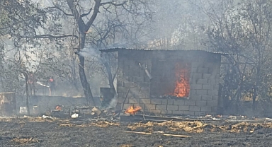 Pancarcı Bağarasında Yangın