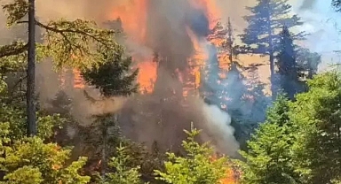 Ermenek'in En Değerli Sedir Ormanında Çıkan Yangın Büyüyor