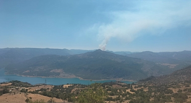 Ermenek'te Orman Yangını