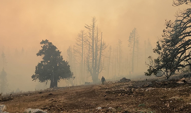 Yangın Büyük Ölçüde Kontrol Altına Alındı