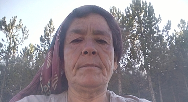 Sevim Ceviz Hayatını Kaybetti