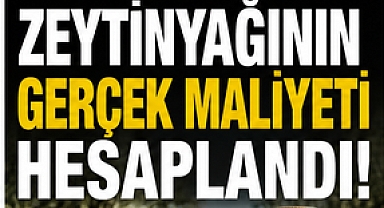 1 LİTRE ZEYTİNYAĞININ GERÇEK MALİYETİ HESAPLANDI!
